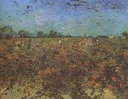 Vincent Van Gogh The Green Vineyard (nn04) Spain oil painting reproduction